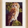 Набор для вышивания Lanarte PN-0146814 Owl