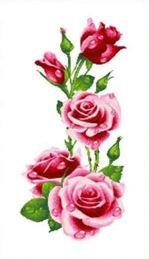 Каролинка КТКН 128 (Р) Розы