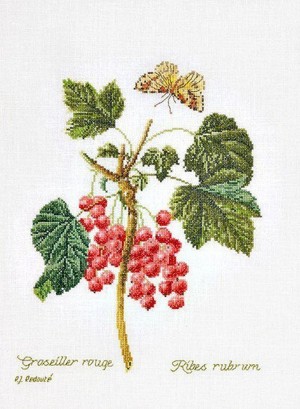 Thea Gouverneur 2084 Red Currant