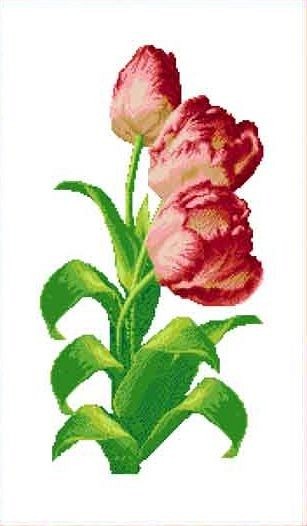 Набор для вышивания Каролинка КТКН 130 (Р) Тюльпаны