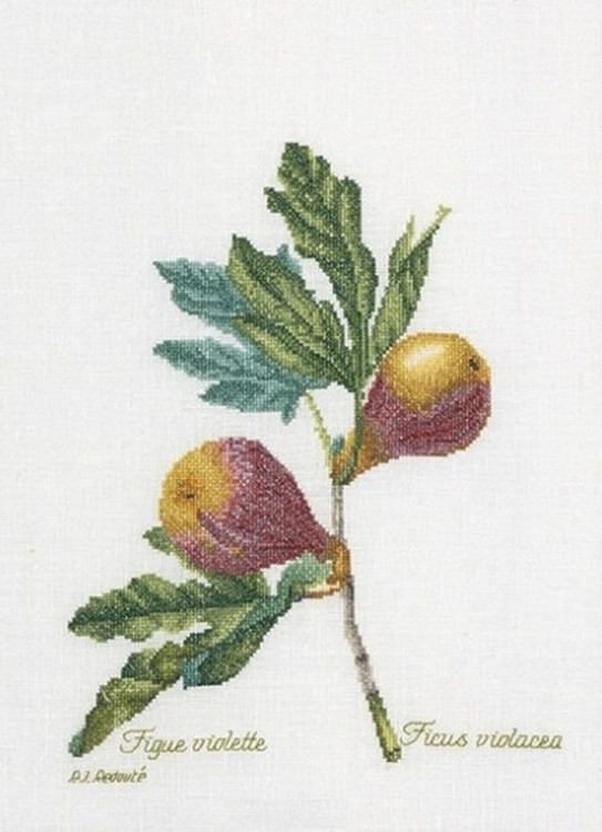 Набор для вышивания Thea Gouverneur 2087 Figs (Инжир)