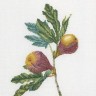 Набор для вышивания Thea Gouverneur 2087 Figs (Инжир)