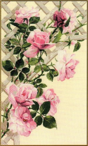 Риолис 898 Розовые розы