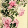 Набор для вышивания Риолис 898 Розовые розы