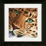 Набор для вышивания Lanarte PN-0154944 Leopard