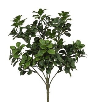 Fiebiger Floristik 108537-800 Ветка декоративная "Японский самшит"