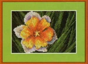Панна C-0409 (Ц-0409) Экзотический цветок