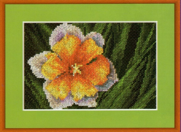 Набор для вышивания Панна C-0409 (Ц-0409) Экзотический цветок
