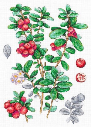 М.П.Студия НВ-928 Брусника