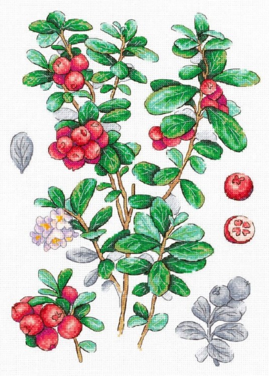 Набор для вышивания М.П.Студия НВ-928 Брусника