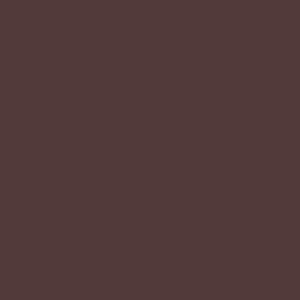 Prym 478960 Молния спираль, разъемная, 60 см, серовато-коричневый