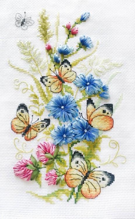 Набор для вышивания Многоцветница МЛН 14 Цикорий и бабочки