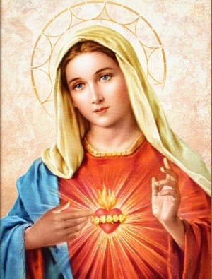 Алмазная живопись АЖ-4115 Дева Мария