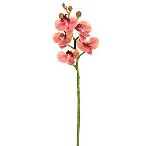 Fiebiger Floristik 206680-340 Цветок декоративный "Орхидея"