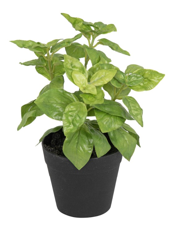 Fiebiger Floristik 106310-800 Цветок декоративный в кашпо "Базилик"