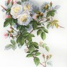 Набор для вышивания Марья Искусница 06.002.45 Белые розы