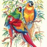 Набор для вышивания Eva Rosenstand 72-292 Parrots - Попугаи