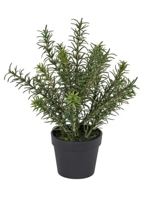 Fiebiger Floristik 106287-800 Цветок декоративный в кашпо "Розмарин"