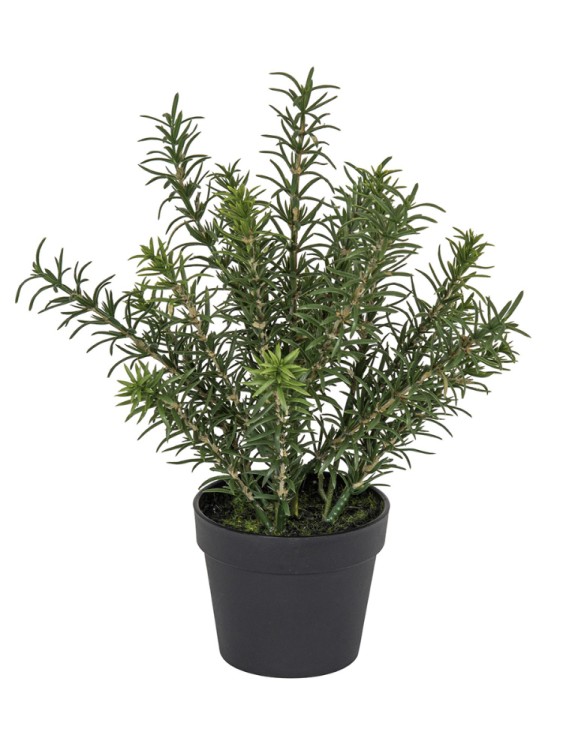 Fiebiger Floristik 106287-800 Цветок декоративный в кашпо "Розмарин"