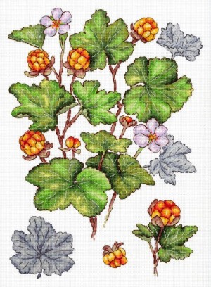 М.П.Студия НВ-930 Морошка