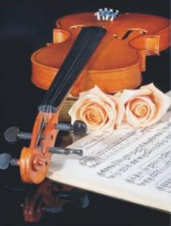 Jing Cai Ge 1102 Скрипка