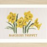 Набор для вышивания Thea Gouverneur 584A Daffodils (Нарциссы)