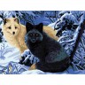 Collection D'Art 10514(W) Ткань с рисунком для вышивания