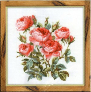 Риолис 1046 Садовые розы