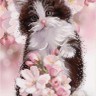 Конек 1359 Весенний котенок