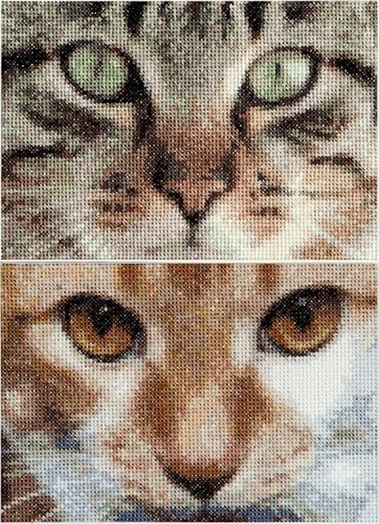Набор для вышивания Thea Gouverneur 543A Cats Tess and Simba (Кошки Тесс и Симба)