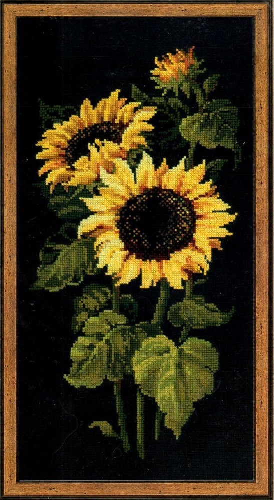 Риолис подсолнухи схема