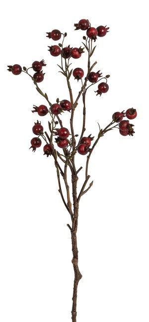 Fiebiger Floristik 161919-550 Ветка декоративная "Шиповник"