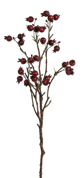 Fiebiger Floristik 161919-550 Ветка декоративная "Шиповник"