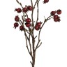 Fiebiger Floristik 161919-550 Ветка декоративная "Шиповник"
