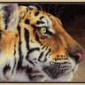 Набор для вышивания Dimensions 35171 Regal Tiger