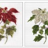 Набор для вышивания Thea Gouverneur 604 Poinsettia (Пуансетия)