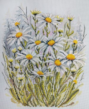 Марья Искусница 04.004.19 Нивяник