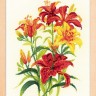 Набор для вышивания Риолис 1782 Солнечные лилии
