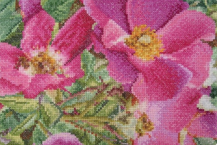 Набор для вышивания Thea Gouverneur 426A Rosa Moyessi (Роза Мойесии)