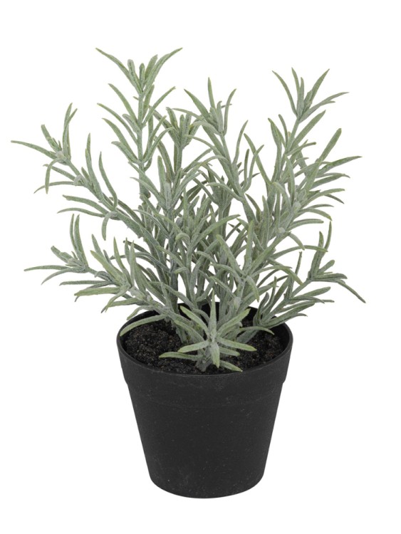 Fiebiger Floristik 106284-801 Цветок декоративный в кашпо "Лаванда"