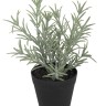 Fiebiger Floristik 106284-801 Цветок декоративный в кашпо "Лаванда"