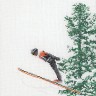 Набор для вышивания Thea Gouverneur 3039 Skiing (Лыжи)