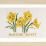 Набор для вышивания Thea Gouverneur 584 Daffodils (Нарциссы)