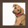 Набор для вышивания Lanarte PN-0008142 Adorable puppy