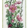 Набор для вышивания Eva Rosenstand 13-339 Рождественская роза и остролист