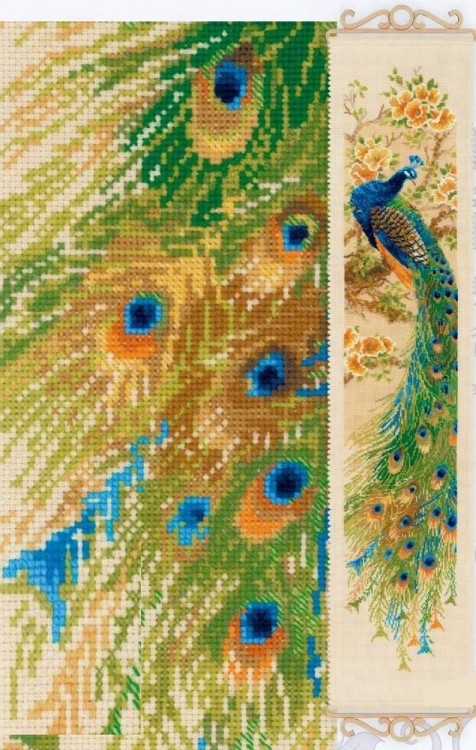 Набор для вышивания Риолис 1834 Восточный красавец