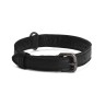 Muud QB-4488/40cm/Black Ошейник "Cate", 40 см