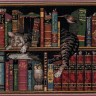 Набор для вышивания Dimensions 35048 Frederick the Literate (Фредерик Грамотный)