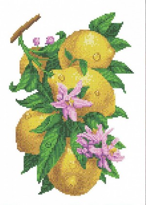 Каролинка ТКБЦ 3058 Ветка с лимонами