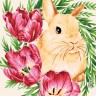 Фрея PNB/PM-113 Кролик в тюльпанах